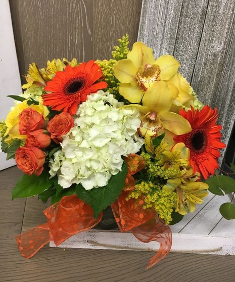 Autumn Orchids