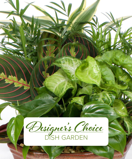 Planter Garden - Custom Designs Garden