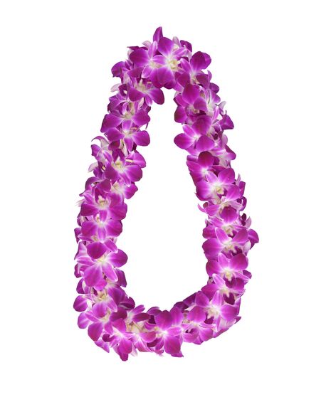 Double Purple Orchid Lei