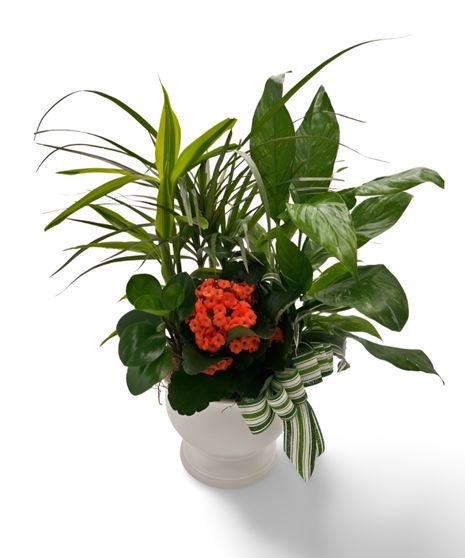Garden Oasis Planter