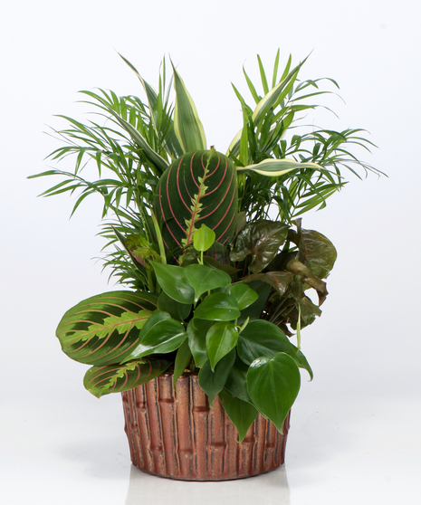 Emerald Garden Basket