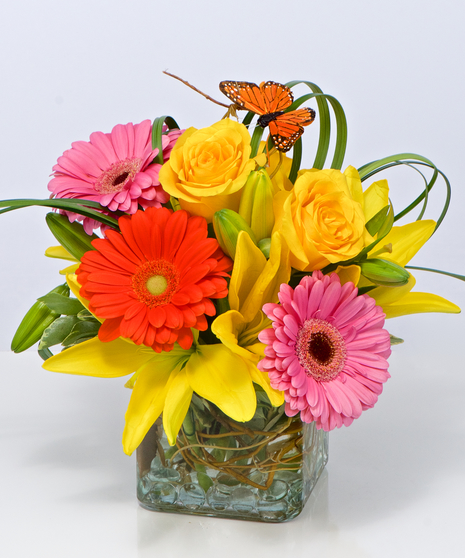 Bright and Cheery