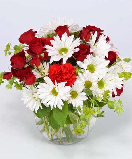 Daisy Delight