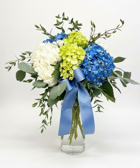 enchanted meadow hydrangea