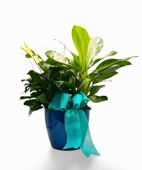 Peaceful Greens Planter