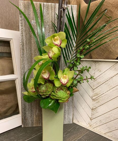 Orchid Delight