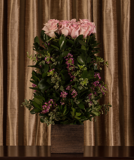 Pink Roses Hedge