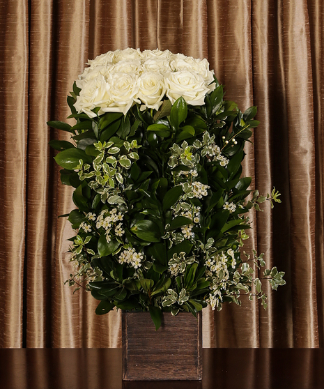 White Rose Hedge