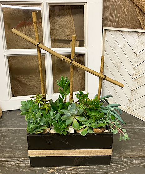 Modern Box Of Succulents