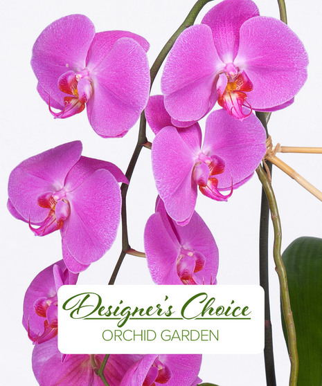 Orchid Garden - Custom Design Garden